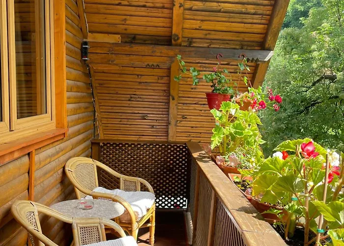 Cabana Mistic